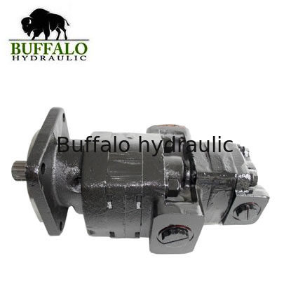 257954A1 Hydraulic Pump for Case 580sl 580sm Backhoe-loaders